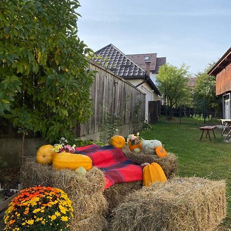Grandma'S Cottage Sacele Bagian luar foto